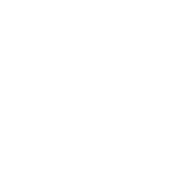 serv-icon-3-1-white serv-icon-3-1-white